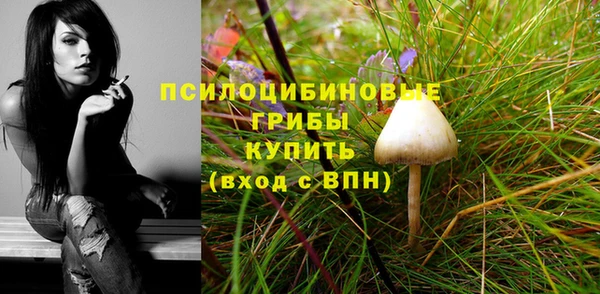 твердый Арсеньев