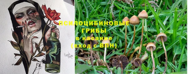 экстази Армянск